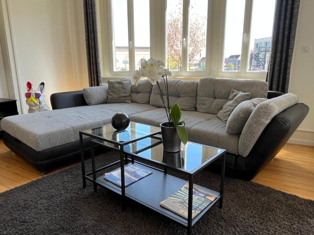 Appartement De Prestige Au Centre Climatise Avec Jardin Prive 콜마 외부 사진