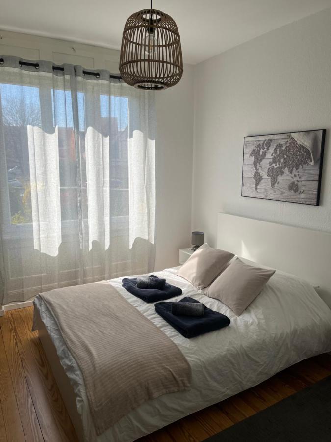 Appartement De Prestige Au Centre Climatise Avec Jardin Prive 콜마 외부 사진